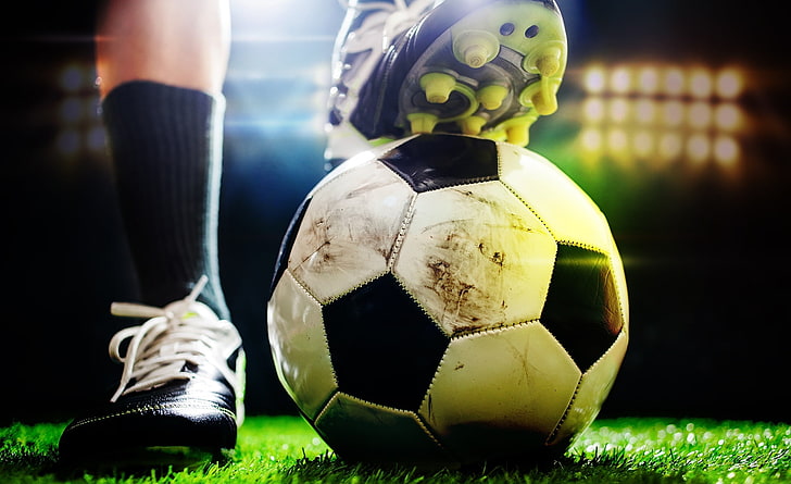 <strong>ABG:嘉定区厂区绿化工程建设</strong>